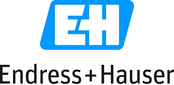 Electronics Promag 400 Index C update Endress Hauser